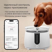 Поилка Redmond (Редмонд) PC5400S - Превью изображения №3 — Интернет-магазин Time-Shop