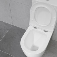 Унитаз напольный Lauter Vortex 2110022VF - Превью изображения №24 — Интернет-магазин Time-Shop