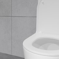 Унитаз напольный Lauter Vortex 2110022VF - Превью изображения №25 — Интернет-магазин Time-Shop