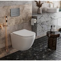 Инсталляция для унитаза Roxen StounFix Dual Fresh 856831 - Превью изображения №4 — Интернет-магазин Time-Shop