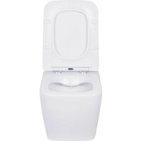 Унитаз подвесной Asten Readle Zentralmodul AR0601-135W - Превью изображения №13 — Интернет-магазин Time-Shop