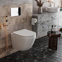 Панель смыва Roxen Santi 410260CH - Превью изображения №4 — Интернет-магазин Time-Shop