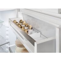 Холодильник Liebherr ICSe 5103 Pure 5103-20001 - Превью изображения №10 — Интернет-магазин Time-Shop