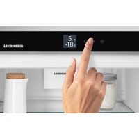 Холодильник Liebherr ICSe 5103 Pure 5103-20001 - Превью изображения №16 — Интернет-магазин Time-Shop