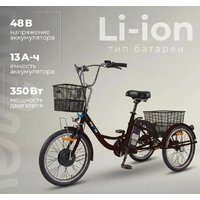 Электровелосипед MyWay Trike 350 Max 24 р.15 (черный) - Превью изображения №2 — Интернет-магазин Time-Shop