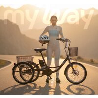 Электровелосипед MyWay Trike 350 Max 24 р.15 (черный) - Превью изображения №7 — Интернет-магазин Time-Shop