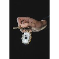 Фонарь Armytek Crystal (желтый) - Превью изображения №11 — Интернет-магазин Time-Shop