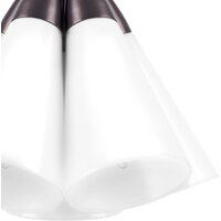 Подвесная люстра Lightstar Cone 757150 - Превью изображения №5 — Интернет-магазин Time-Shop