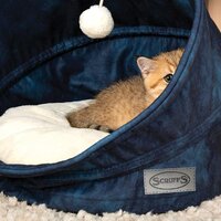 Лежак Scruffs Kensington Cat Cave 661808 (синий) - Превью изображения №2 — Интернет-магазин Time-Shop