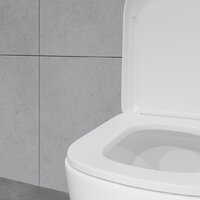 Унитаз напольный Lauter Vortex 2110012VF - Превью изображения №22 — Интернет-магазин Time-Shop