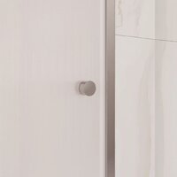 Душевая дверь RGW PA-03 54080307-101 - Превью изображения №2 — Интернет-магазин Time-Shop