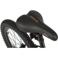 Детский велосипед Maxiscoo 5Bike 20 M 2024 (черный матовый) - Превью изображения №7 — Интернет-магазин Time-Shop