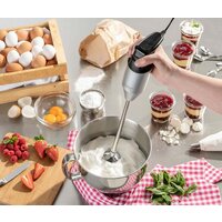 Погружной блендер CASO HB 2400 Pro XL - Превью изображения №9 — Интернет-магазин Time-Shop