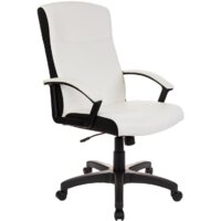 Бюрократ DOMINUS-WH (белый)