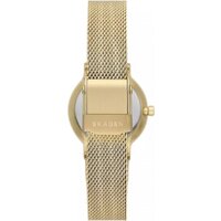 Наручные часы Skagen SKW3110 - Превью изображения №2 — Интернет-магазин Time-Shop