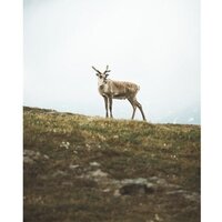 Беззеркальный фотоаппарат Olympus OM-5 Body (черный) - Превью изображения №17 — Интернет-магазин Time-Shop