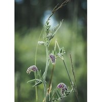 Беззеркальный фотоаппарат Olympus OM-5 Body (черный) - Превью изображения №15 — Интернет-магазин Time-Shop