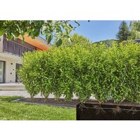Шланг для капельного полива Gardena 13504-20 (1/2