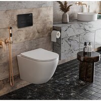 Инсталляция для унитаза Roxen StounFix Dual Fresh 847702 - Превью изображения №4 — Интернет-магазин Time-Shop