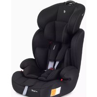 Rant Basic Spark ZY10 (черный)