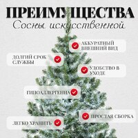 Сосна Erbis Sosna с белыми кончиками 250 - Превью изображения №5 — Интернет-магазин Time-Shop