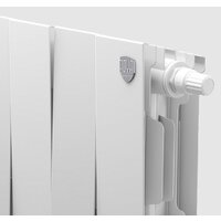 Биметаллический радиатор Royal Thermo PianoForte 200 VDR Silver Satin (18 секций) - Превью изображения №4 — Интернет-магазин Time-Shop