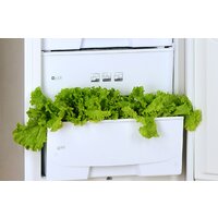 Холодильник POZIS RK-139 (белый) - Превью изображения №4 — Интернет-магазин Time-Shop