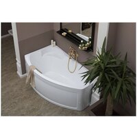 Фронтальный экран под ванну Aquanet Jersey Sofia L/R 170 (243486) - Превью изображения №5 — Интернет-магазин Time-Shop