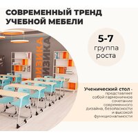Ученический стол Sheffilton SHT-T-TN27 г5-7 (одн. береза/алюминиевый металлик/серый) - Превью изображения №9 — Интернет-магазин Time-Shop