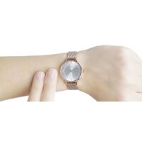 Наручные часы Skagen SKW2151 - Превью изображения №9 — Интернет-магазин Time-Shop