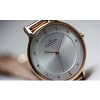 Наручные часы Skagen SKW2151 - Превью изображения №7 — Интернет-магазин Time-Shop