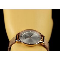 Наручные часы Skagen SKW2151 - Превью изображения №13 — Интернет-магазин Time-Shop