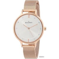 Наручные часы Skagen SKW2151 - Превью изображения №2 — Интернет-магазин Time-Shop