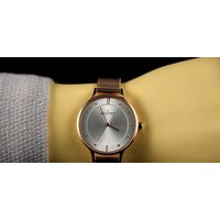 Наручные часы Skagen SKW2151 - Превью изображения №14 — Интернет-магазин Time-Shop