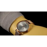 Наручные часы Skagen SKW2151 - Превью изображения №15 — Интернет-магазин Time-Shop