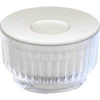 Sber SberBoom Mini 2 (неоновый серый)