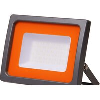JAZZway PFL-SC 50W