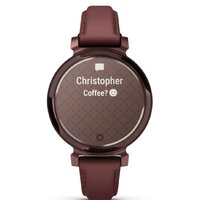 Умные часы Garmin Lily 2 Classic (темная бронза/шелковица) - Превью изображения №4 — Интернет-магазин Time-Shop