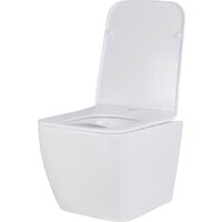 Унитаз подвесной Asten Readle Zentralmodul AR0601-135B - Превью изображения №10 — Интернет-магазин Time-Shop