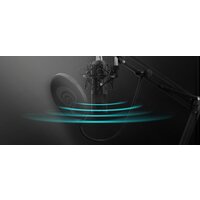 Проводной микрофон Genesis Radium 300 XLR - Превью изображения №11 — Интернет-магазин Time-Shop