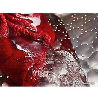 Стирально-сушильная машина Miele WTD280 WCS - Превью изображения №5 — Интернет-магазин Time-Shop