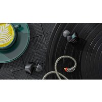 Наушники FiiO FH3 (черный) - Превью изображения №11 — Интернет-магазин Time-Shop