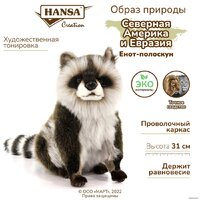 Классическая игрушка Hansa Сreation Енот-полоскун 7493 (31 см) - Превью изображения №11 — Интернет-магазин Time-Shop