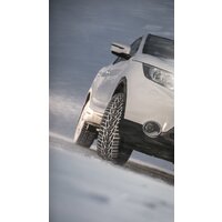 Зимние шины Nokian Tyres Nordman 7 SUV 255/55R18 109T (шипы) - Превью изображения №6 — Интернет-магазин Time-Shop