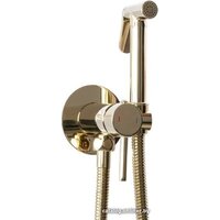 Гигиенический душ Rea Loop REA-B8979 (золотой) - Превью изображения №2 — Интернет-магазин Time-Shop