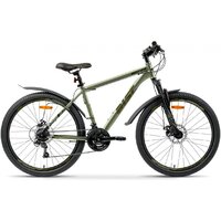 AIST Quest Disc 26 р.13 2026 (зеленый)