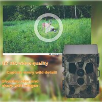 Фотоловушка Suntek HC-603 Pro - Превью изображения №5 — Интернет-магазин Time-Shop