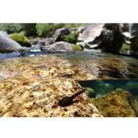 Фотоаппарат Olympus Tough TG-7 (черный) - Превью изображения №10 — Интернет-магазин Time-Shop