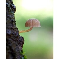 Фотоаппарат Olympus Tough TG-7 (черный) - Превью изображения №12 — Интернет-магазин Time-Shop