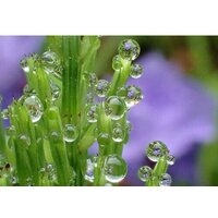 Фотоаппарат Olympus Tough TG-7 (черный) - Превью изображения №11 — Интернет-магазин Time-Shop